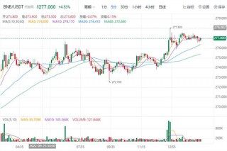 BIAN币最新价格行情美元 BNB最新趋势消息